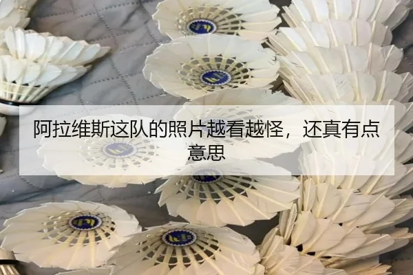 阿拉维斯这队的照片越看越怪，还真有点意思