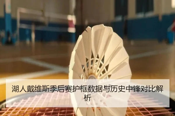 湖人戴维斯季后赛护框数据与历史中锋对比解析
